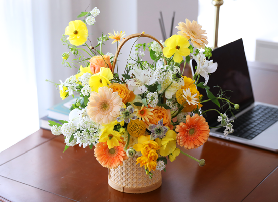 ���� �޻� ���ķ� - ���� �ɹٱ���