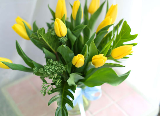'()ȯ桯ô ƽý öȭ - I like the tulip