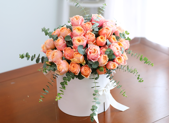 ���۸��� ��ġ�� ����