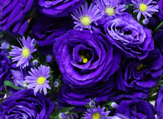 ������ ���