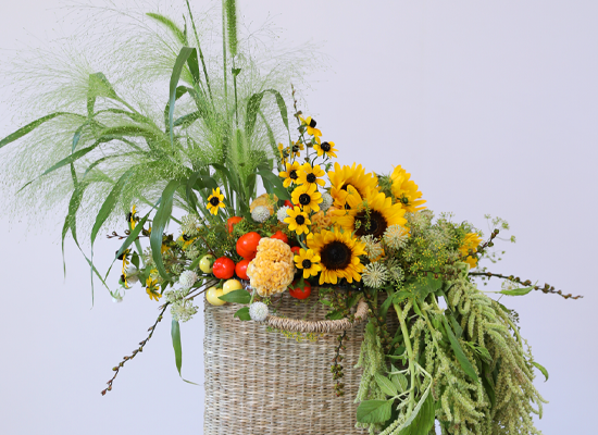 �޻��� ������ �Ϸ�