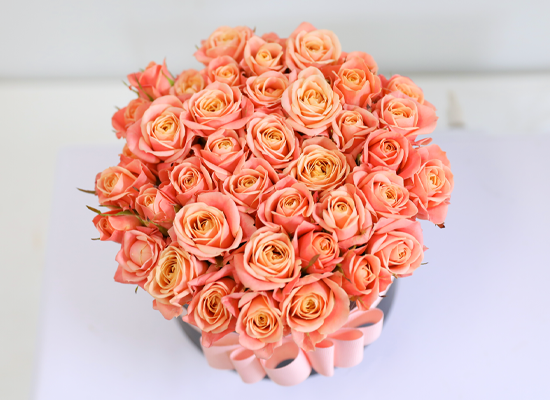 ��ũ�� ���� �� ��Ǭ