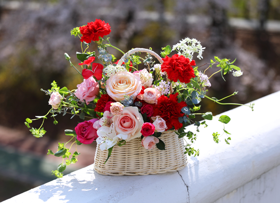 ����� ������ ���� - ���� ī���̼�