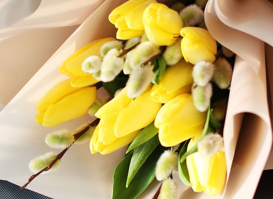 [ùǰ]Fresh spring flower Yellow BongBong