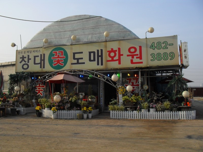 창대꽃화원 플라워119꽃배달서비스 - 생일, 개업, 축하, 근조 꽃배달 전문 카테고리 꽃다발 , 꽃배달, 꽃선물, 전국꽃배달서비스,맞춤꽃배달,꽃... 