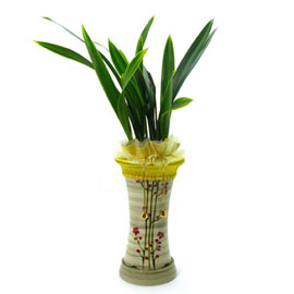 ±ÝºÀ±Ý(°í±Þ)