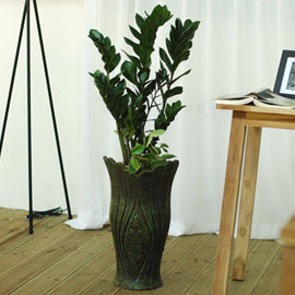 Ç®ÇϿ콺 - ±ÝÀü¼ö(black)