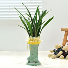 ÁøÇÑ ³²ÉÇâÀ» °¡Áø µ¿¾ç¶õ