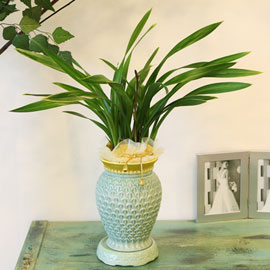 °Ü¿ïµ¿¾ç¶õ ±ÝºÀ±ÝA