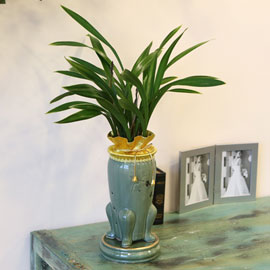 °Ü¿ïµ¿¾ç¶õ ±ÝºÀ±ÝB