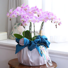 (서울만 가능)정성이 느껴지는 보자기 포장 - 고운 색감의 핑크호접란 꽃배달 꽃집