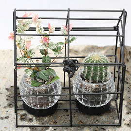 유리병 안에 작은 정원 - 삼각철재 오브제테라리움 꽃배달 꽃집