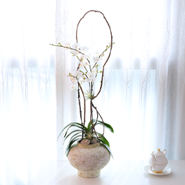 ¼ø¹éÀÇ ´Þ¹«¸® - ³ªºñÀÇ ¶ã