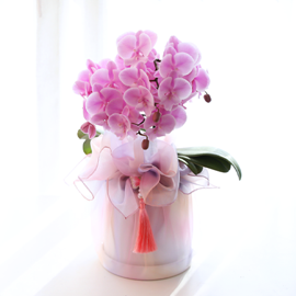 ³ªºñ°¡ ³¯¾Æµå´Â Á¤¿ø - ³ªºñÀÇ ¶ã