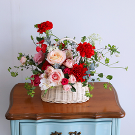 »ç¶ûÀÇ ½ºÇÁ¸µ ·¹µå - °¨¼º Ä«³×À̼Ç