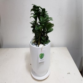 º¸¼®±ÝÀü¼ö