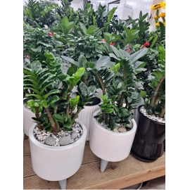 ����������