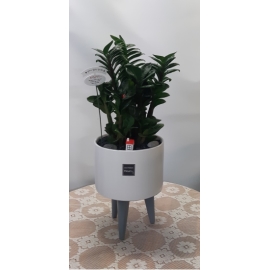 ����������