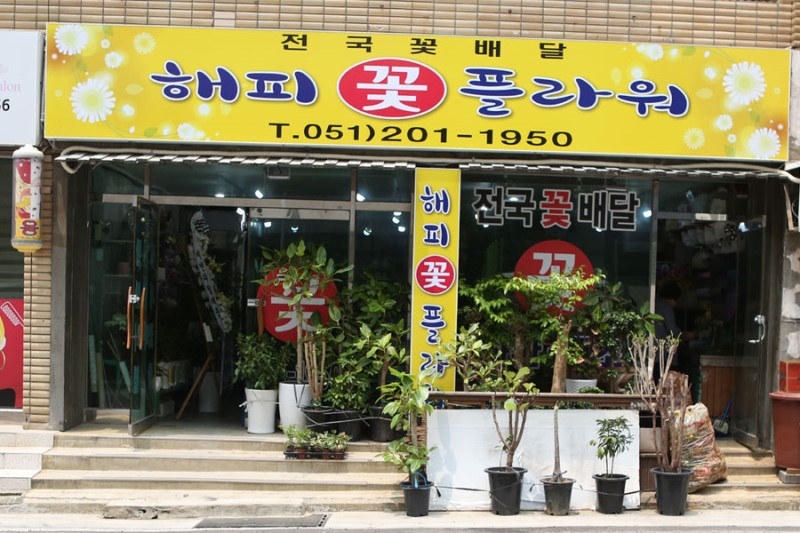 꽃배달 - 플라워119꽃배달서비스 - 해피플라워, 부산광역시사하구 카테고리 꽃다발 , 꽃배달, 꽃선물, 전국꽃배달서비스,맞춤꽃배달,꽃, 꽃집... 