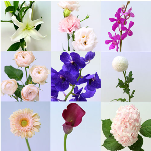 ܿ￡ ޴ ܿɲ  ο
ܿ غ