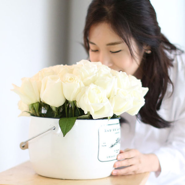Invaluable white day - white rose  ȭƮ