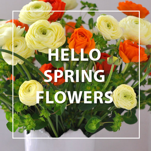 밝고 사랑스러운 봄의 꽃생동감 넘치는 봄의 꽃으로 사랑을 전하세요