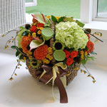 [������] ���� �� - ���� ���