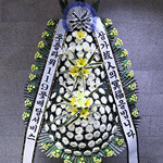 ������ ��� ǰ���ִ� ����ȭȯ