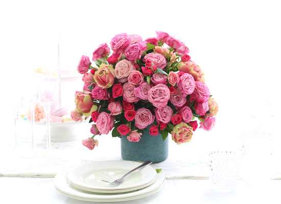 HappyȭƮ _ Pink Rose Romance