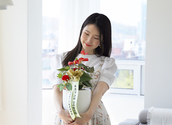 [서울,전국배송,지방화기변경] 존경하는 마음 담아 -  빨강꽃이 피어 있는 안스리움