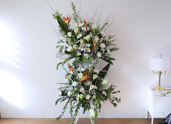 White Light Woven with Sincerity