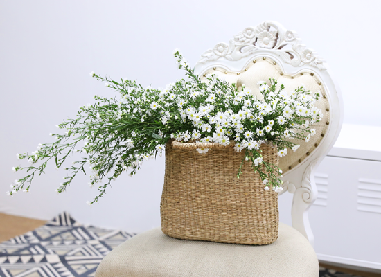 ���� ����� ����