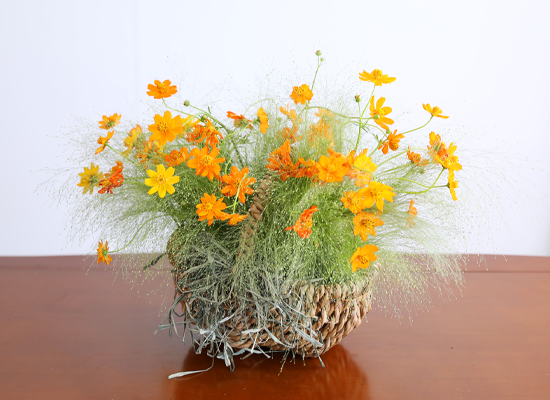 �������� ��� ����