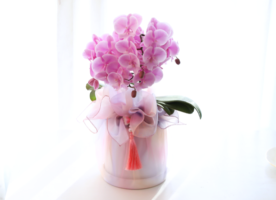 ���� ���Ƶ�� ���� - ������ ��