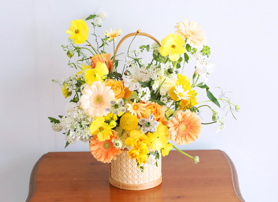 ���� �޻� ���ķ� - ���� �ɹٱ���