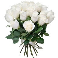 ����̲ɴٹ�