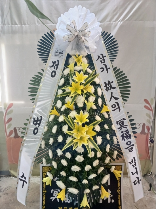 ���� �ɹ�� ����