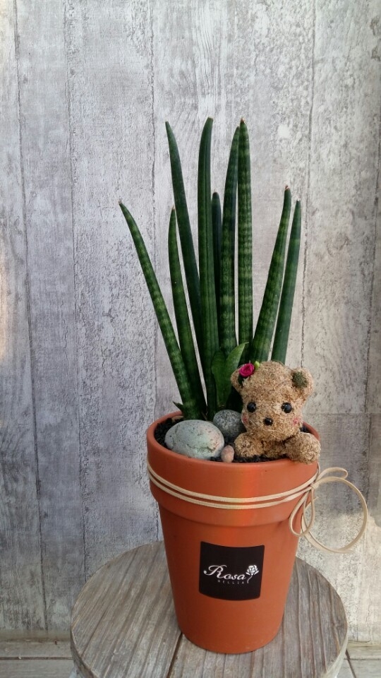 �캸�� ����ȭ��