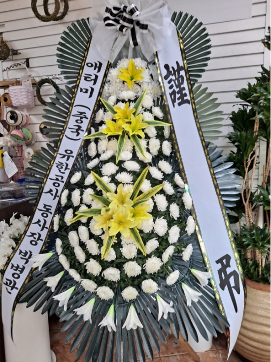 ȭȯ-ô  ǰ! - ö119 3ܱ⺻ȭȯ (Ʈ)