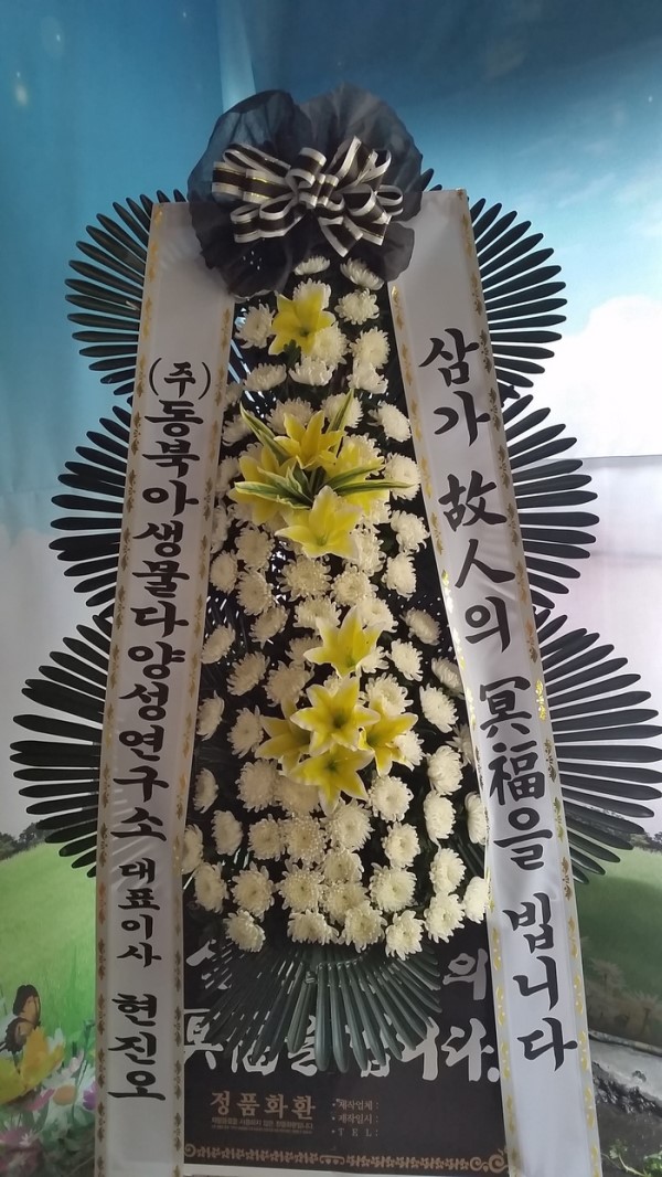 꽃배달 - 플라워119꽃배달서비스 플라워119꽃배달서비스 