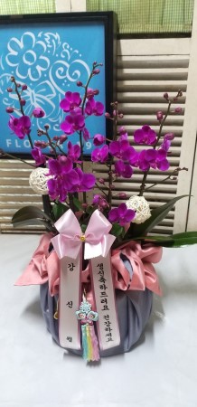 (서울만 가능)정성이 느껴지는 보자기 포장 - 만천홍 꽃배달 꽃집 