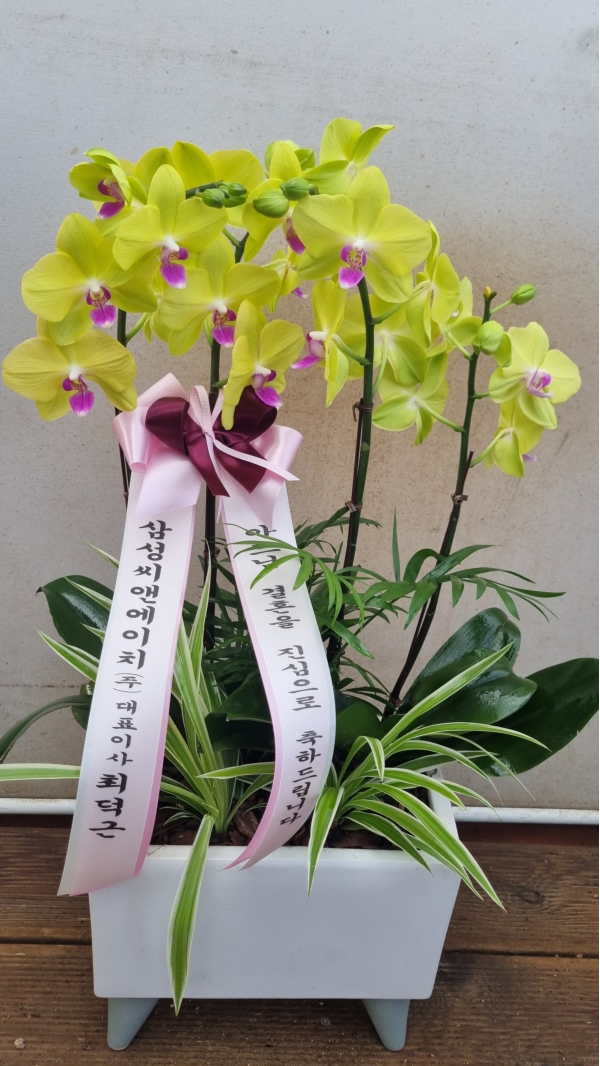 플라워119본부, 서울특별시서초구 꽃배달 - 플라워119꽃배달서비스 - 카테고리 꽃다발 , 꽃배달, 꽃선물, 전국꽃배달서비스,맞춤꽃배달,꽃, 꽃집... 