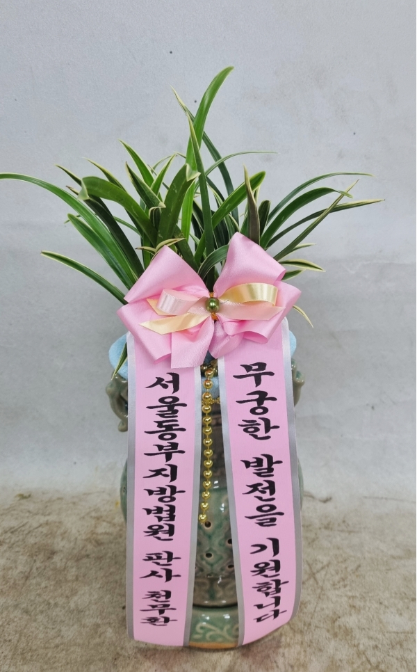 자미원, 광주광역시서구 꽃배달 - 플라워119꽃배달서비스 - 카테고리 꽃다발 , 꽃배달, 꽃선물, 전국꽃배달서비스,맞춤꽃배달,꽃, 꽃집,맞춤꽃... 