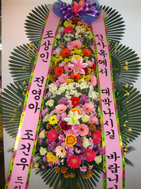 꽃배달 - 플라워119꽃배달서비스 - 대전가원플라워, 대전광역시서구 카테고리 꽃다발 , 꽃배달, 꽃선물, 전국꽃배달서비스,맞춤꽃배달,꽃, 꽃집... 