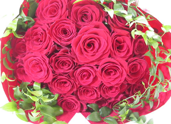 love is  ɹ