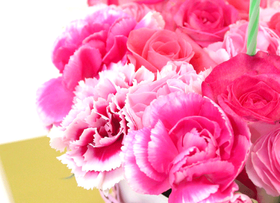 [] petit ami (ڶ ٹ)  ɹ
