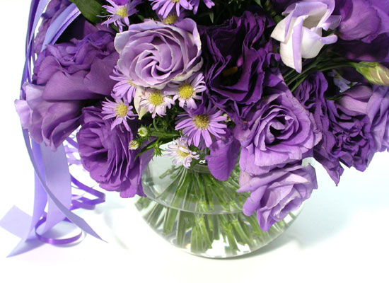 [] Cute violet  ɹ