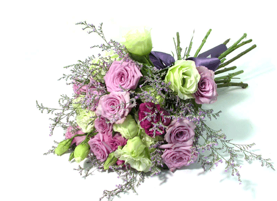 French Purple  ɹ