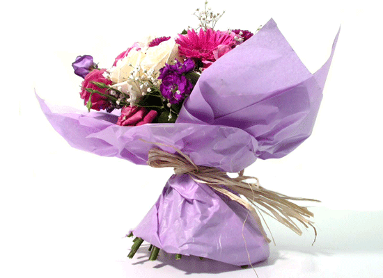 Elegant Rose  ɹ