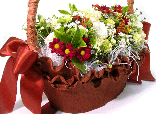 Brown-giftstyle()  ɹ